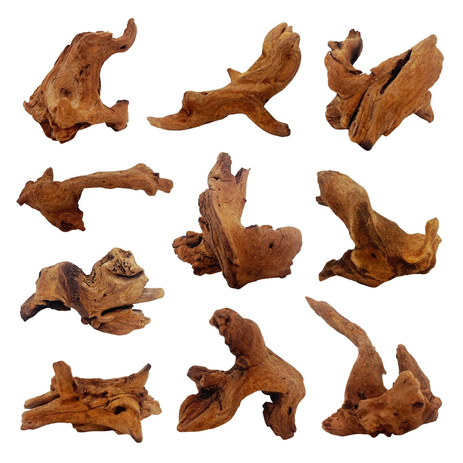 10 Pcs Natural Small Driftwood for 10 Pack Mopani 2-4in