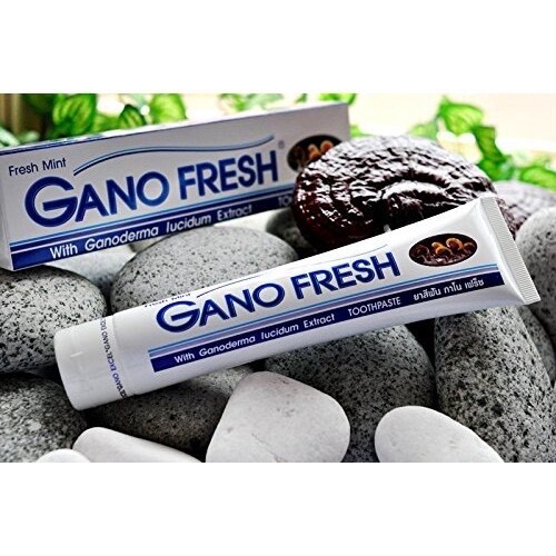 4 Boxes x 150g GANO EXCEL GANO FRESH TOOTHPASTE GANODERMA Free Shipping