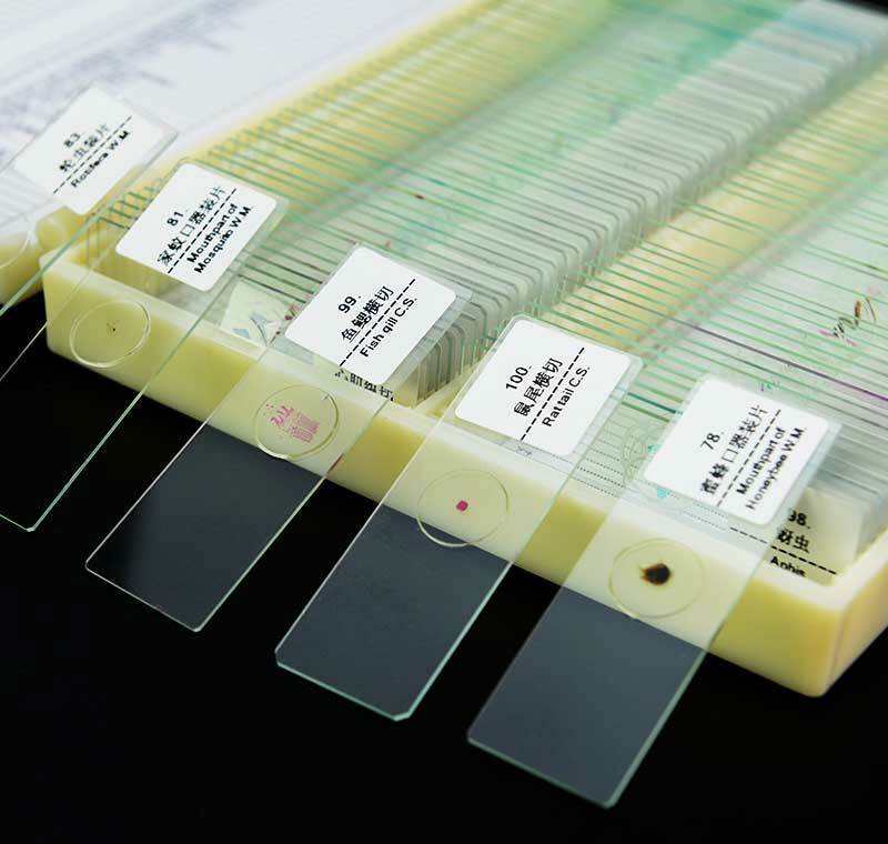 100PCS Educational Specimen Lab Biological Prepared Glass Microscope Slides