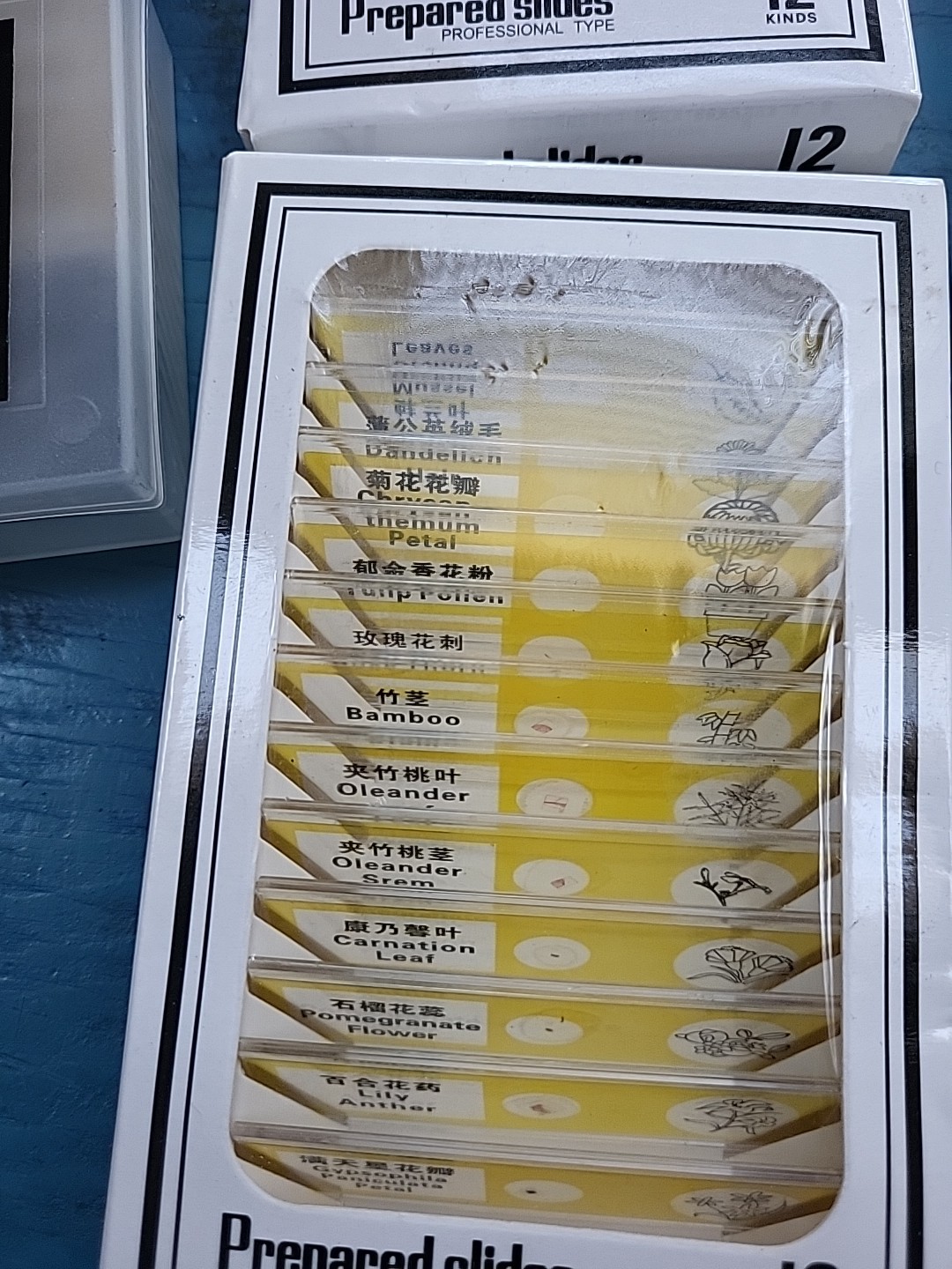Lot Of 48 Prepared Microscope Slides