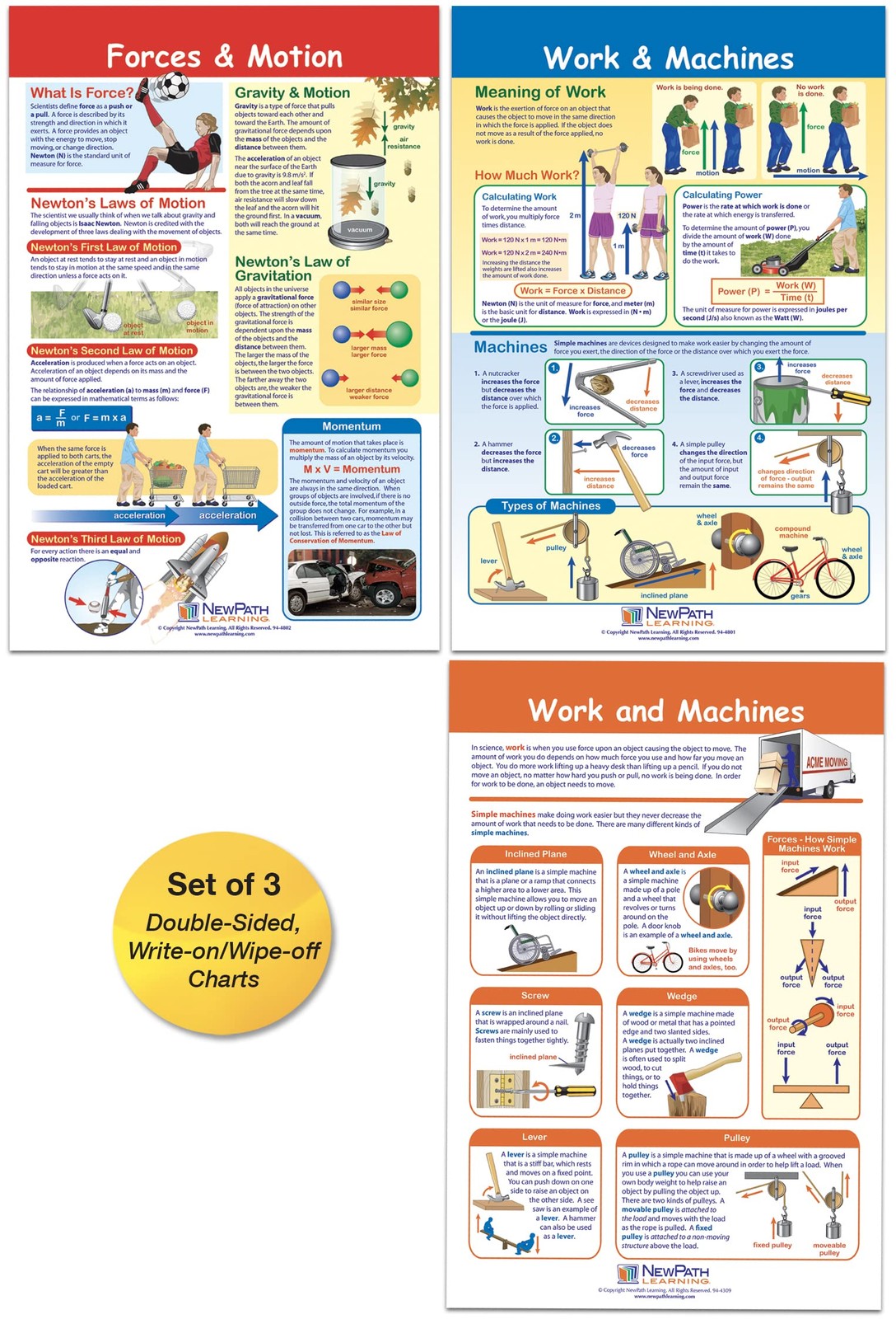 Forces Motion Bulletin Board Charts Laminated Double Sided 12x18 949003 3PK