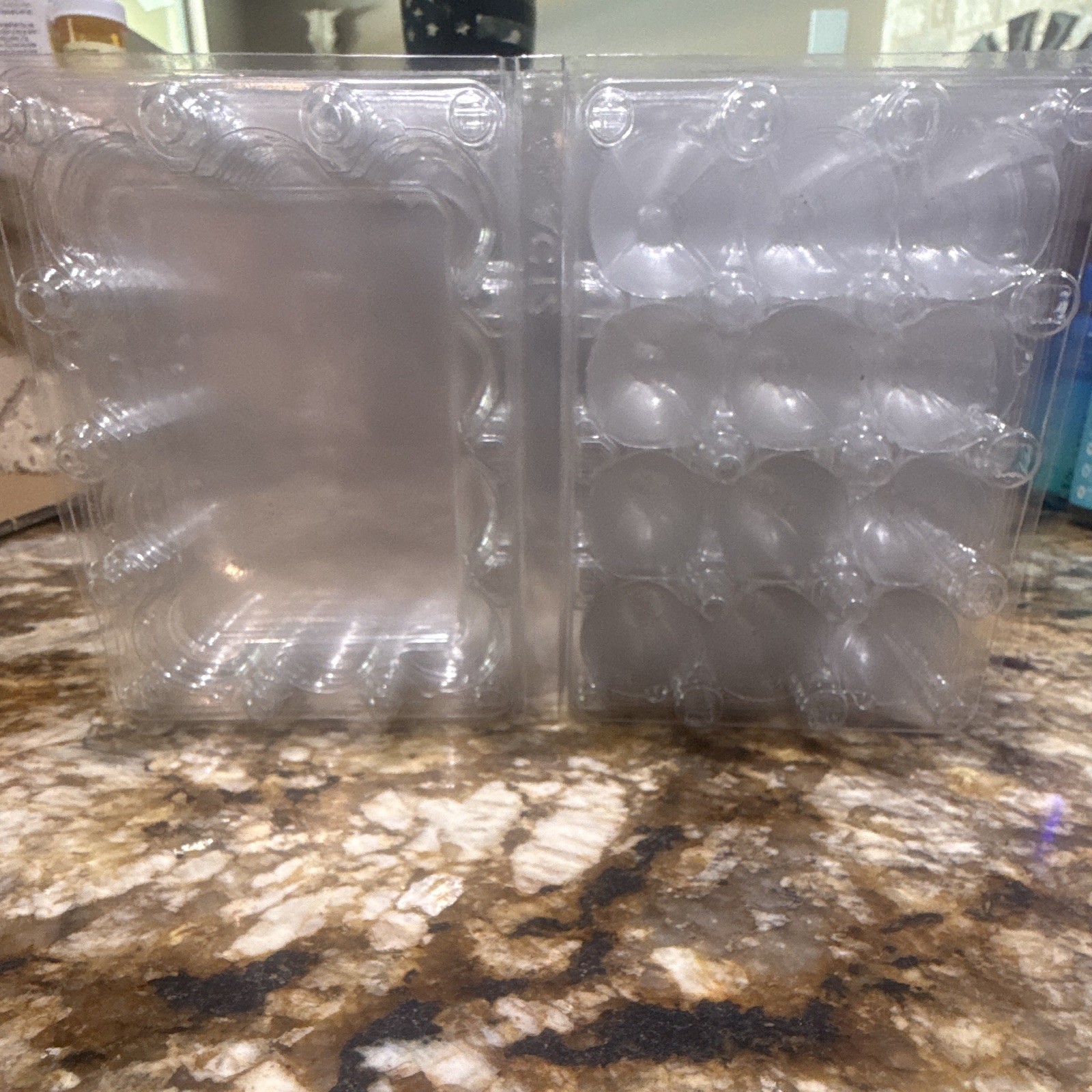 Quail Egg container 20 pack