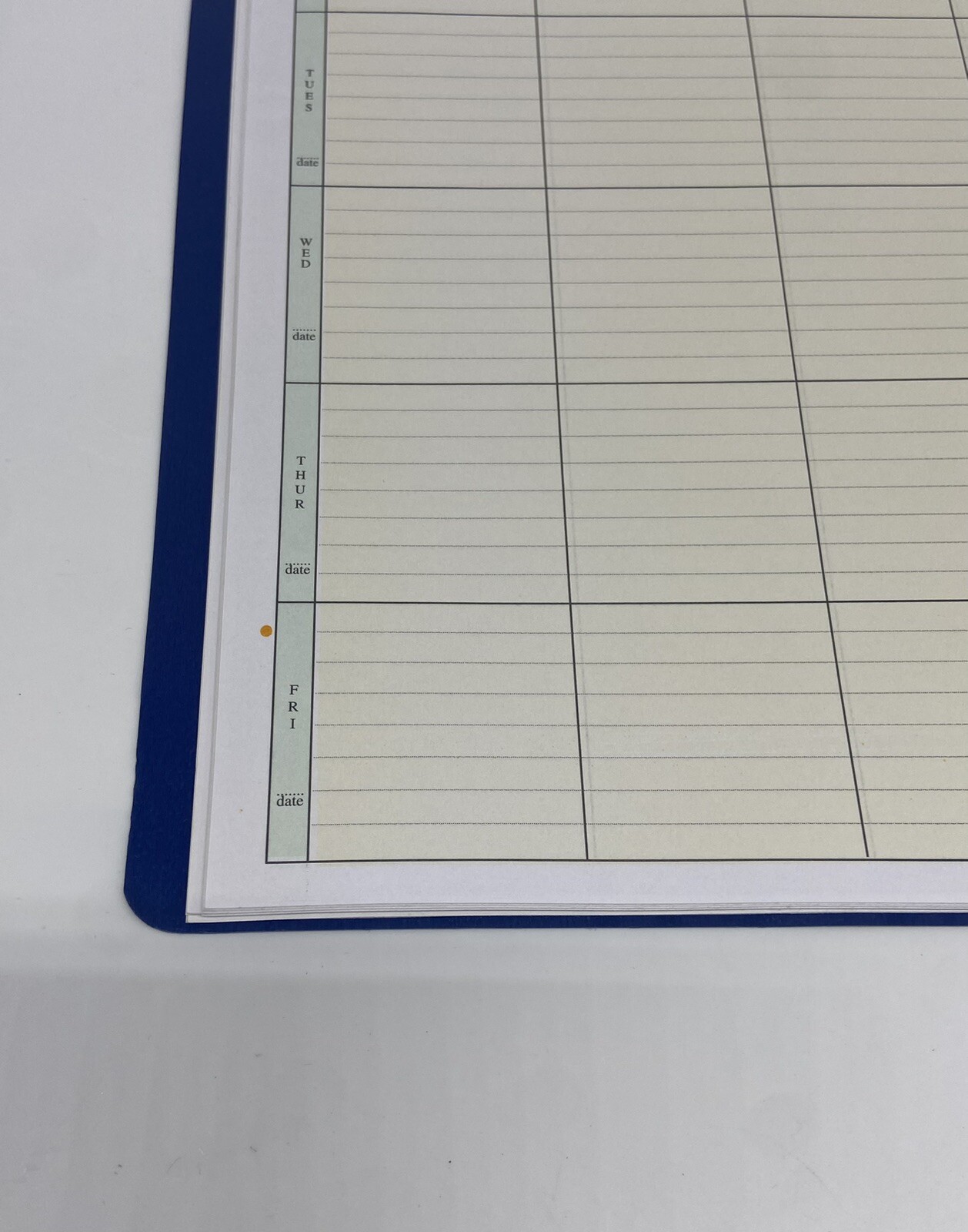 8 Period Teacher Lesson Plan; Days Vertically Down The Side (W208) - OPEN BOX