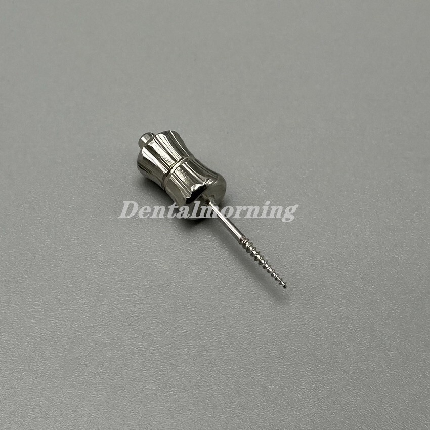 Dental Root Fragment Extractor Extracting Forceps Tooth Extraction Elevator S/L