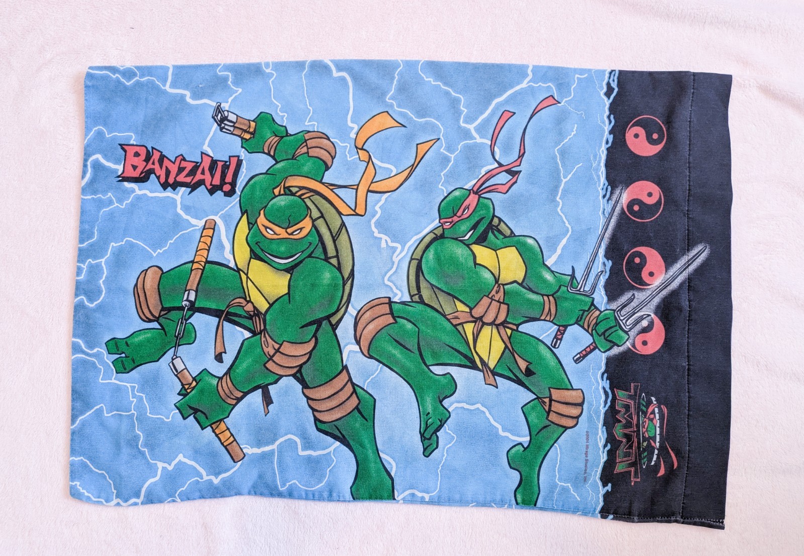Teenage Mutant Ninja Turtles Double Sided Pillowcase 2003 Series TMNT