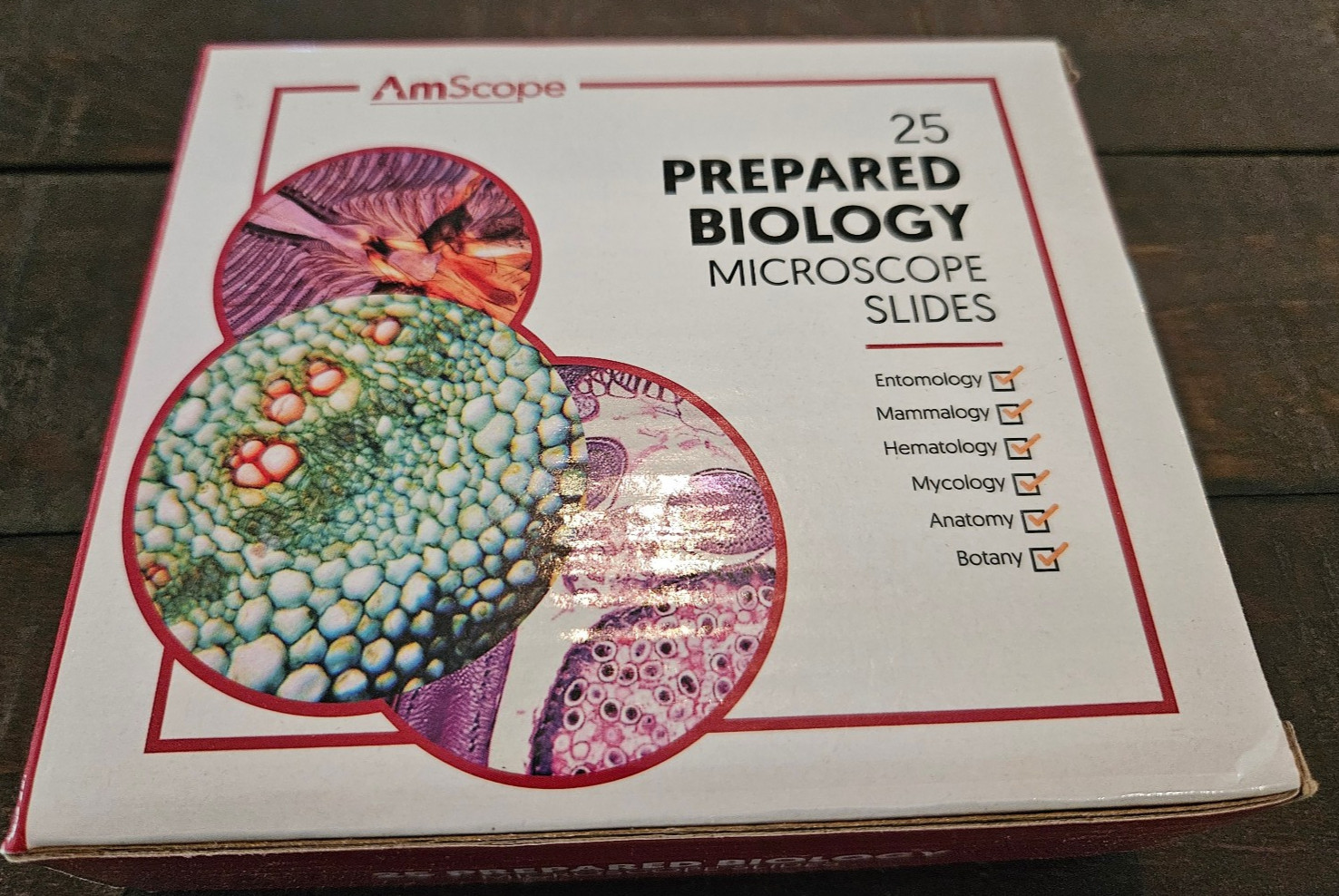 AmScope 25 Prepared Biology Microscope Slides Wood Case Botany Anatomy Complete