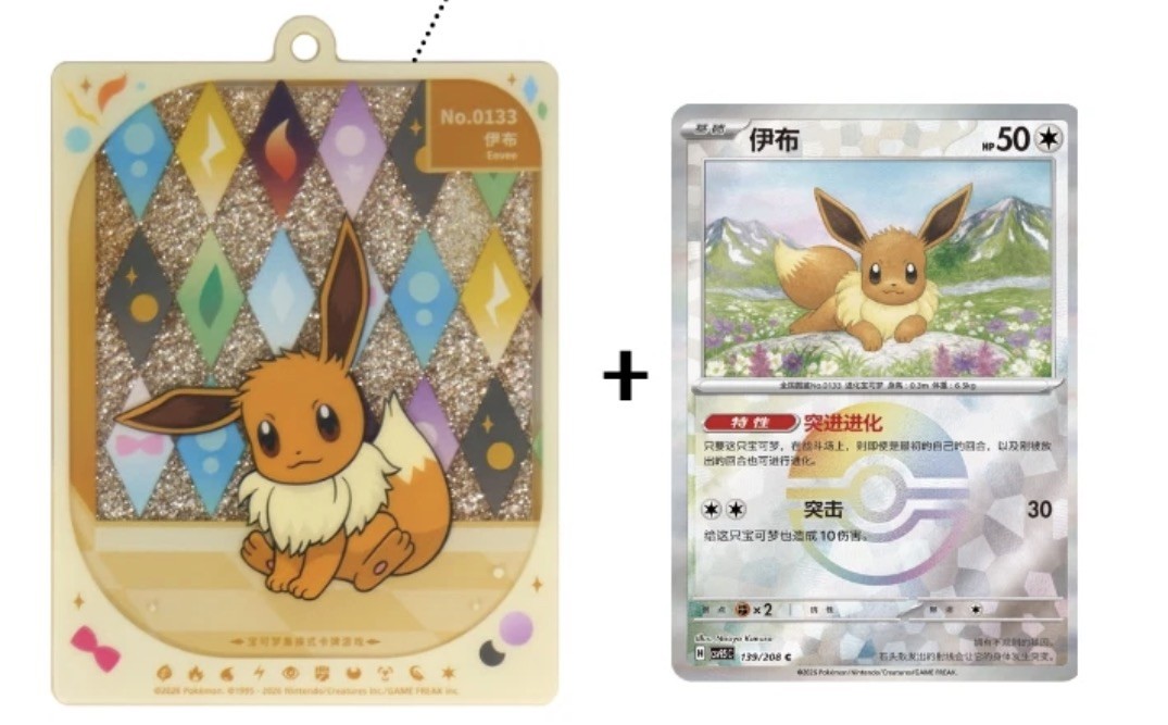 Pokemon TCG Chinese-Exclusive Eevee Pack Eevee Display Charm & Holo Card Set