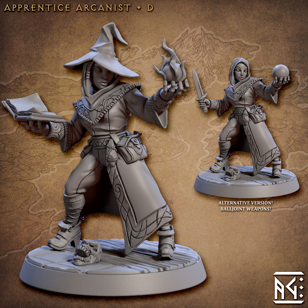 Apprentice Mage Wizard D - Alternate - Artisan Guild - Fantasy D&D Miniature