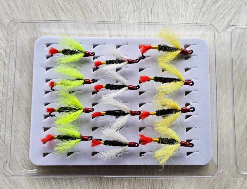Salmon Flies Combo.  (12) Flies In Fly Box.   Sport Fishing Flies.