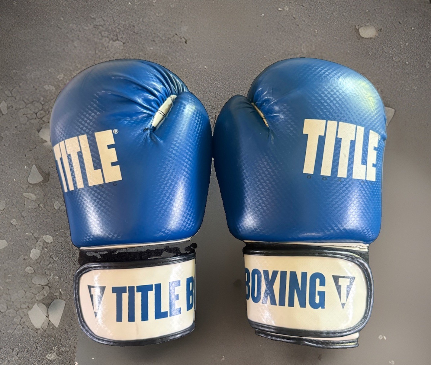 Title Boxing Hook & Loop Genuine Boxing Gloves Blue White 12 Oz Classic