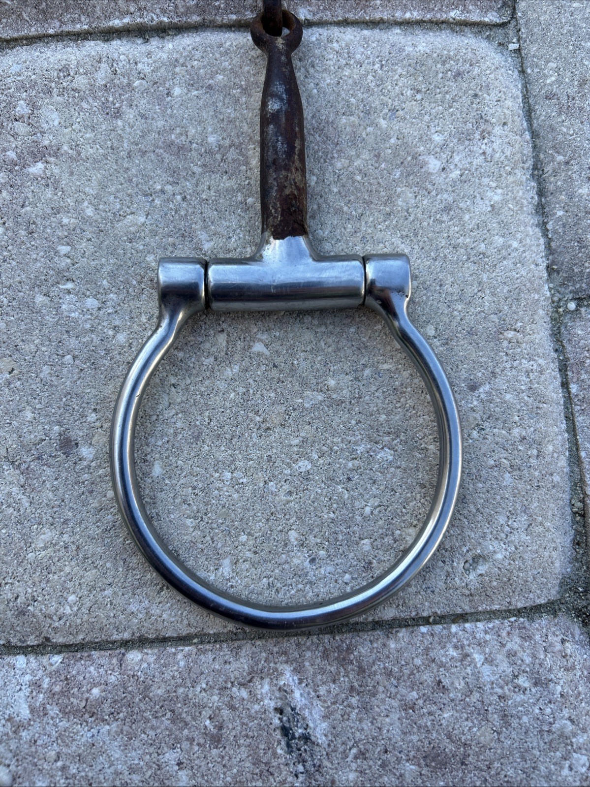Snaffle Bit Dee Ring Smooth With Copper Inlay 5” Riding Equestrian Horse Bit