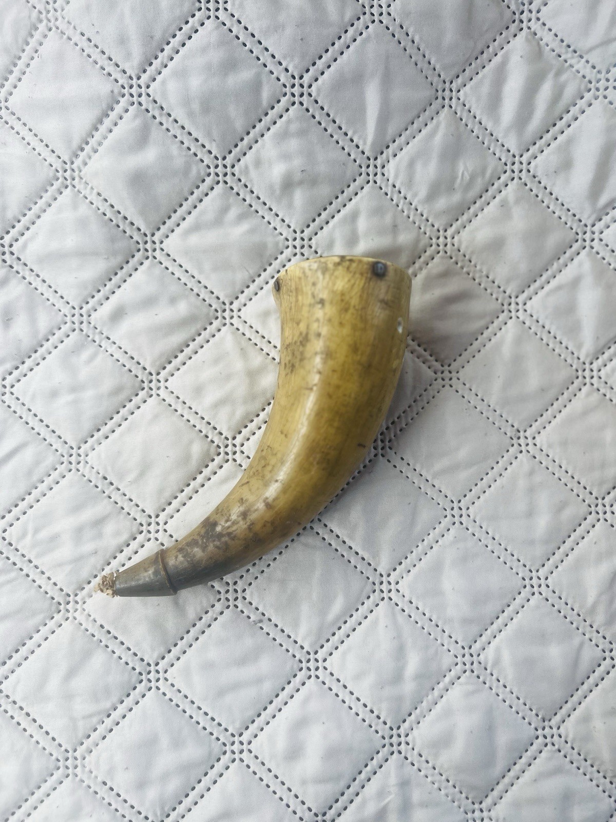 Antique Early American  Powder Horn 7.5”