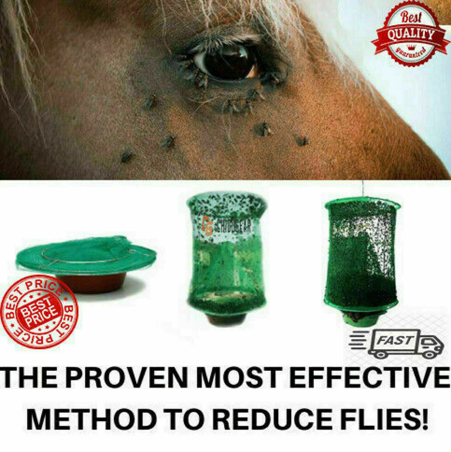 4/2 xThe Ranch Fly Trap Reusable Fly Catcher Killer Cage Net Trap Pest Bug Catch