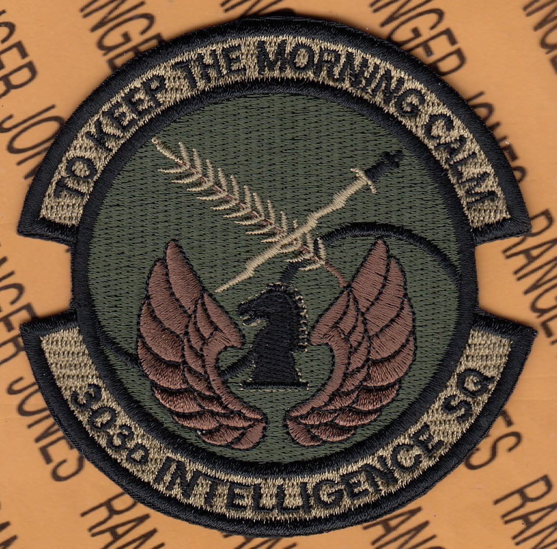 USAF Air Force 303rd Intelligence Sq IS ~3.5" OCP No HOOK patch c/e B