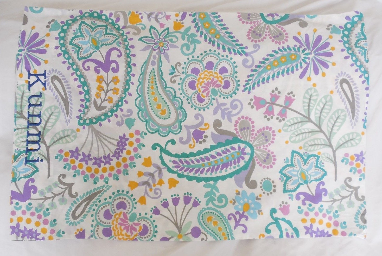 Pottery Barn Kids Brooklyn Swirly Paisley Pillowcase "Kunmi" NWOT