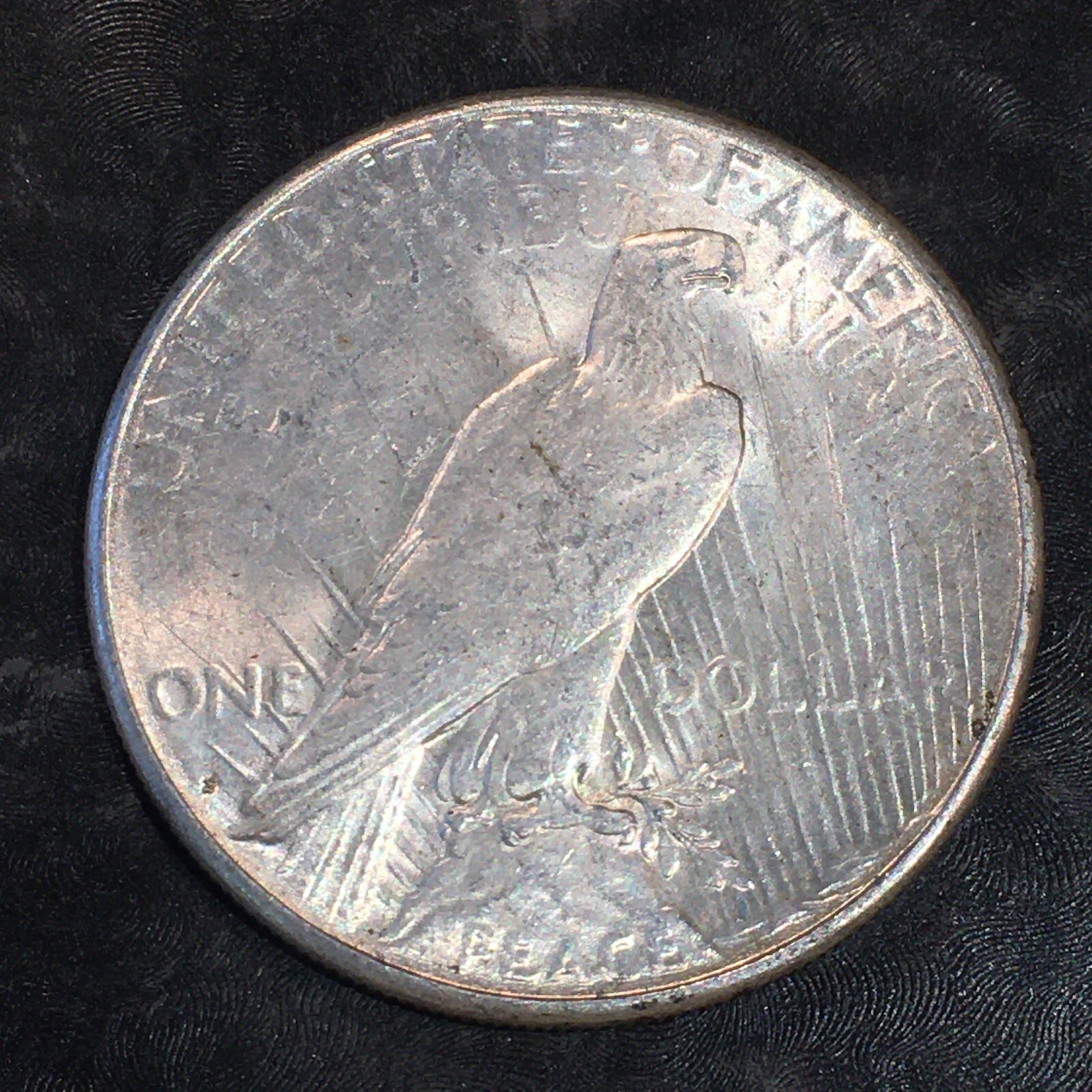 1923-S Peace Silver Dollar - High Quality Scans #N778