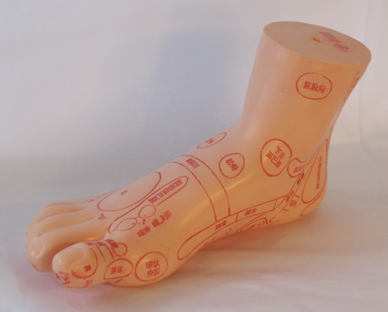 Foot massage acupuncture model Chinese medicine anatomy anatomical 7.5" New