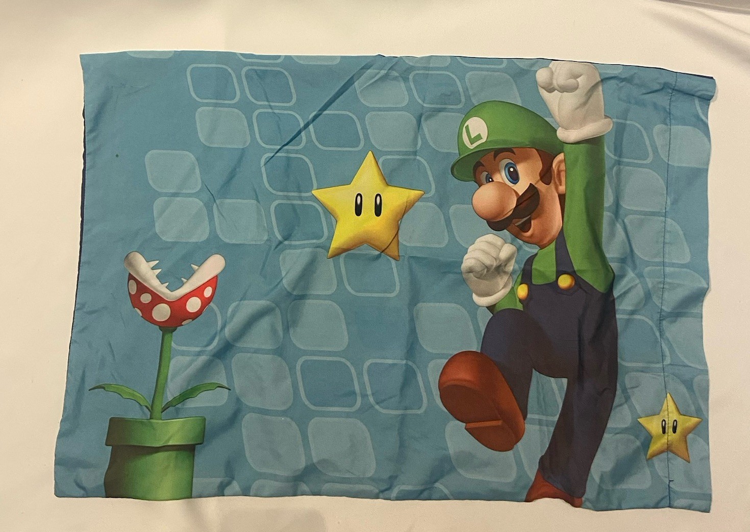 Nintendo Super Mario Luigi 2013 Polyester Pillowcase Standard Set Of Two