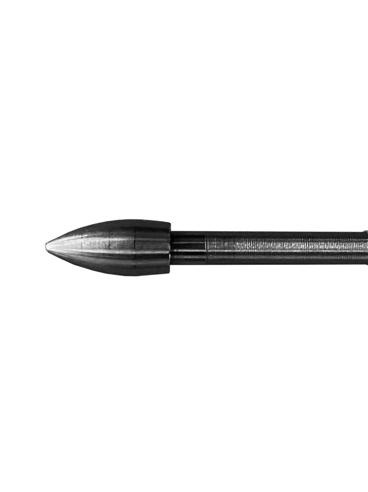 EASTON POINT BULLET 45GR 12 PACK #480716
