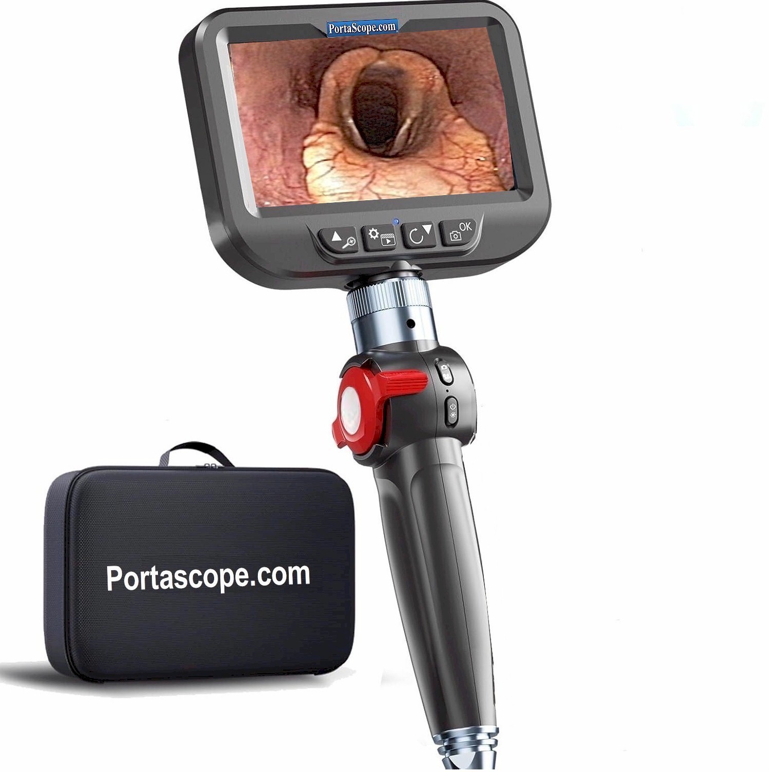 Economy Veterinary Airway Equine Video Endoscope MONITOR Scope 8mm 200cm