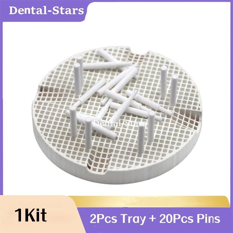 2 Dental Lab Porcelain Honeycomb Firing Trays with 20 Ceramic Zironia Pins Kit