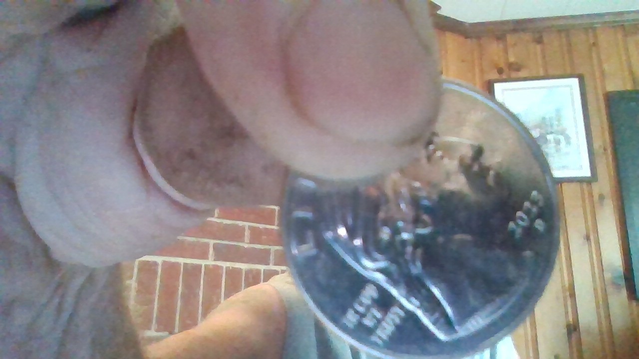 2023 p & d quarter error jovita get both for this price