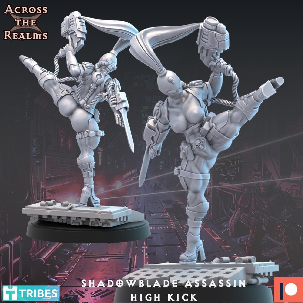 IMPERIAL SHADOWBLADE ASSASSIN HIGH KICK