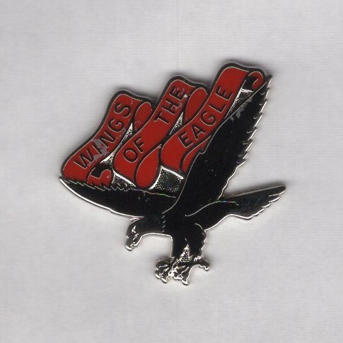 US Army 101st Aviation Regiment crest DUI clutchback c/b badge D-22