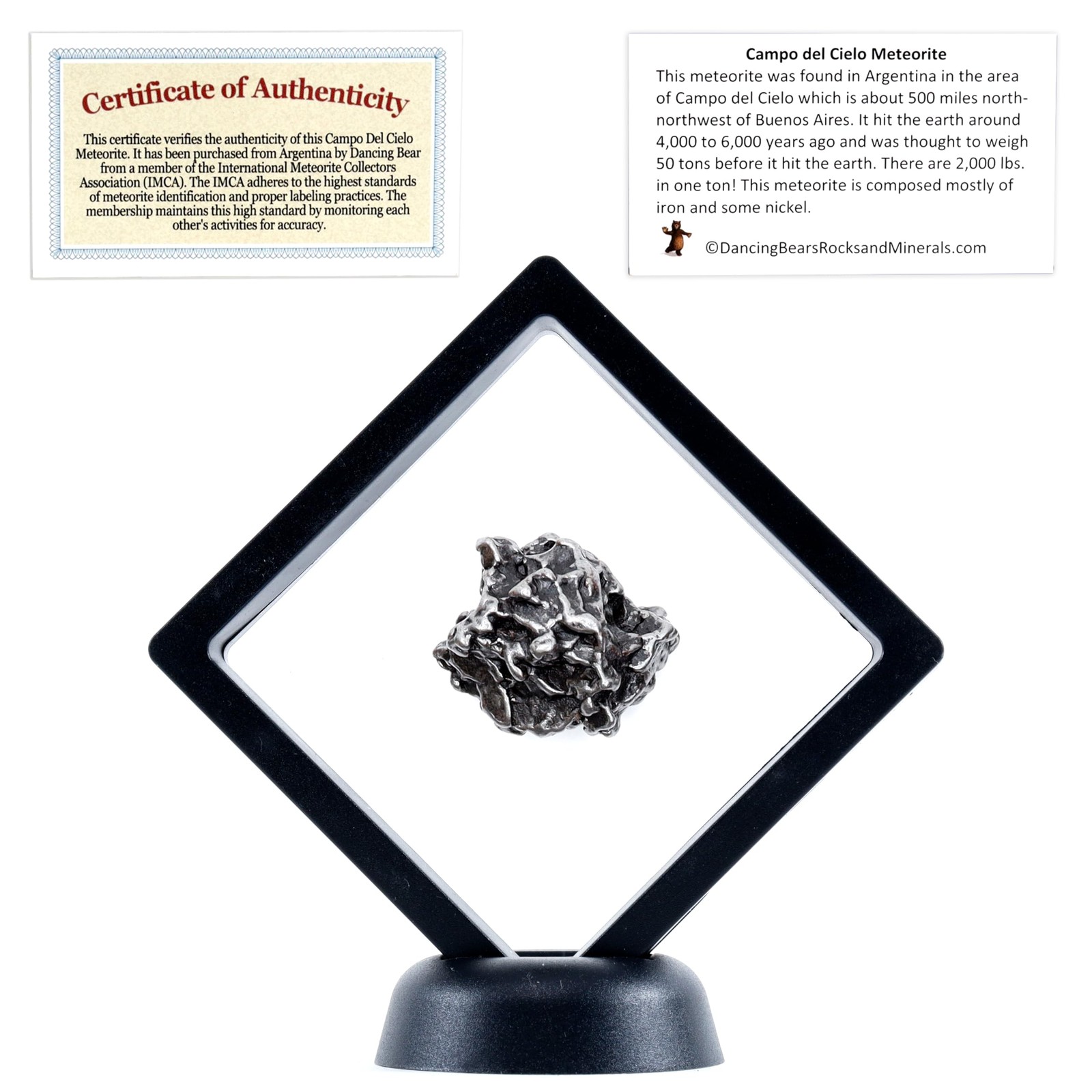 DANCING BEAR Real Meteorite Extra Large (35-55g) Genuine from 35-55g, Black