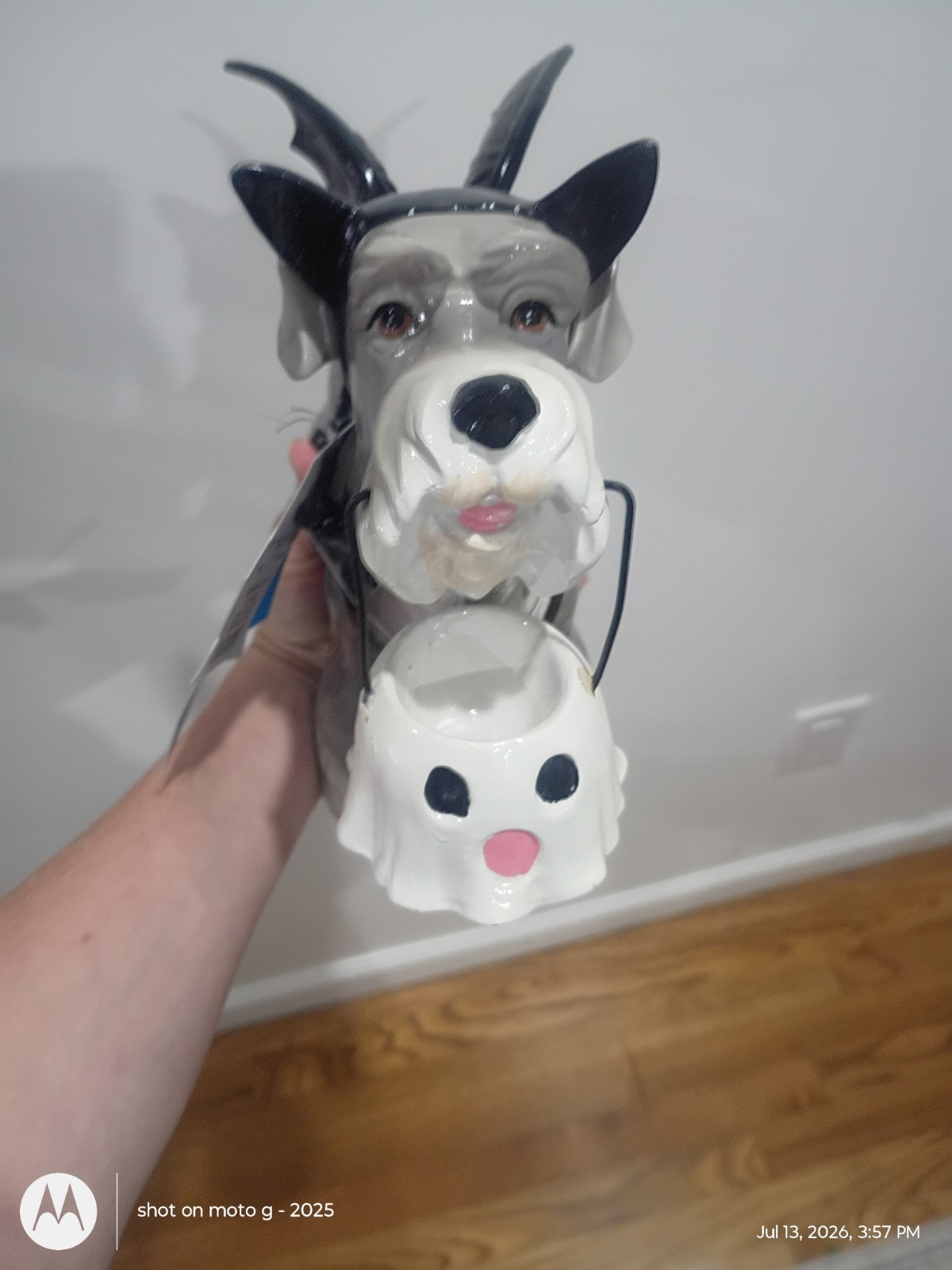 Bat Schnauzer Dog w/ Ghost Bucket in Halloween Costume Figure Statue Decor New