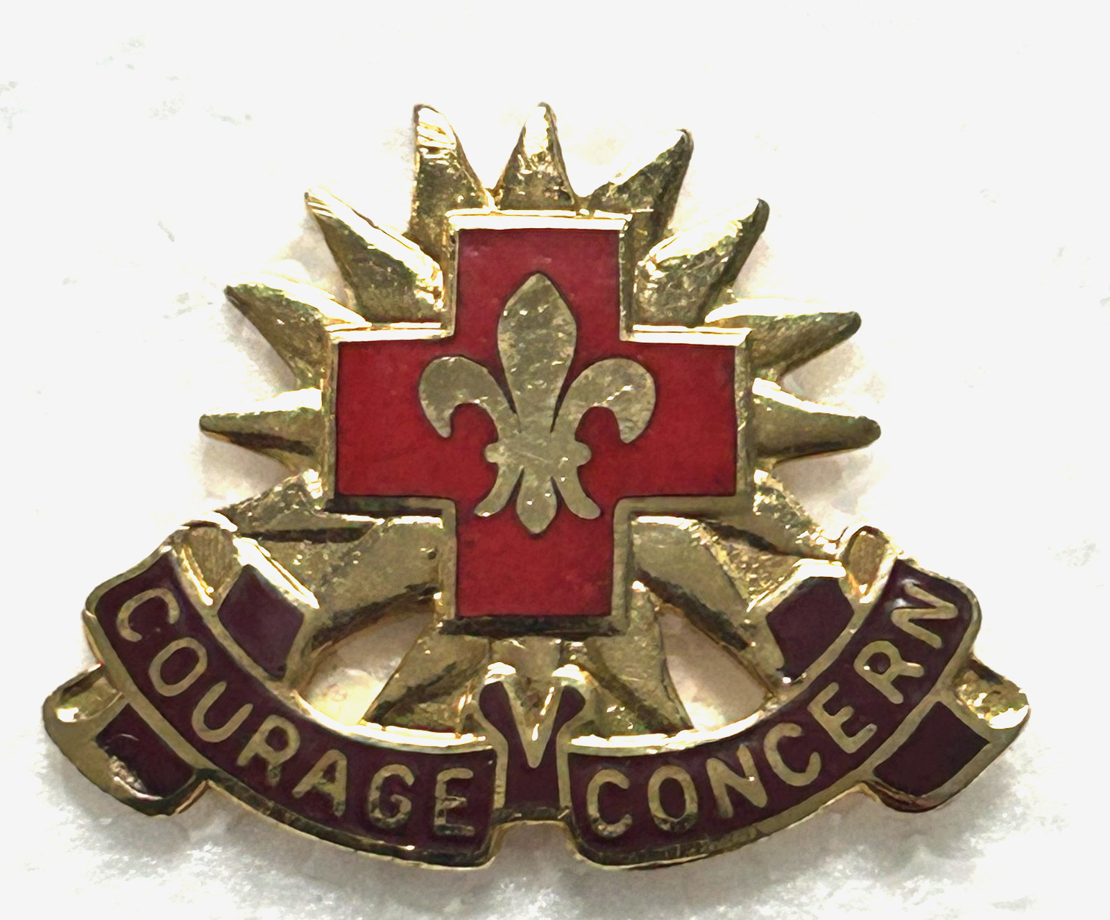 US Army Crest, DUI, DI - 5010 Army Hospital  (CB, G23)
