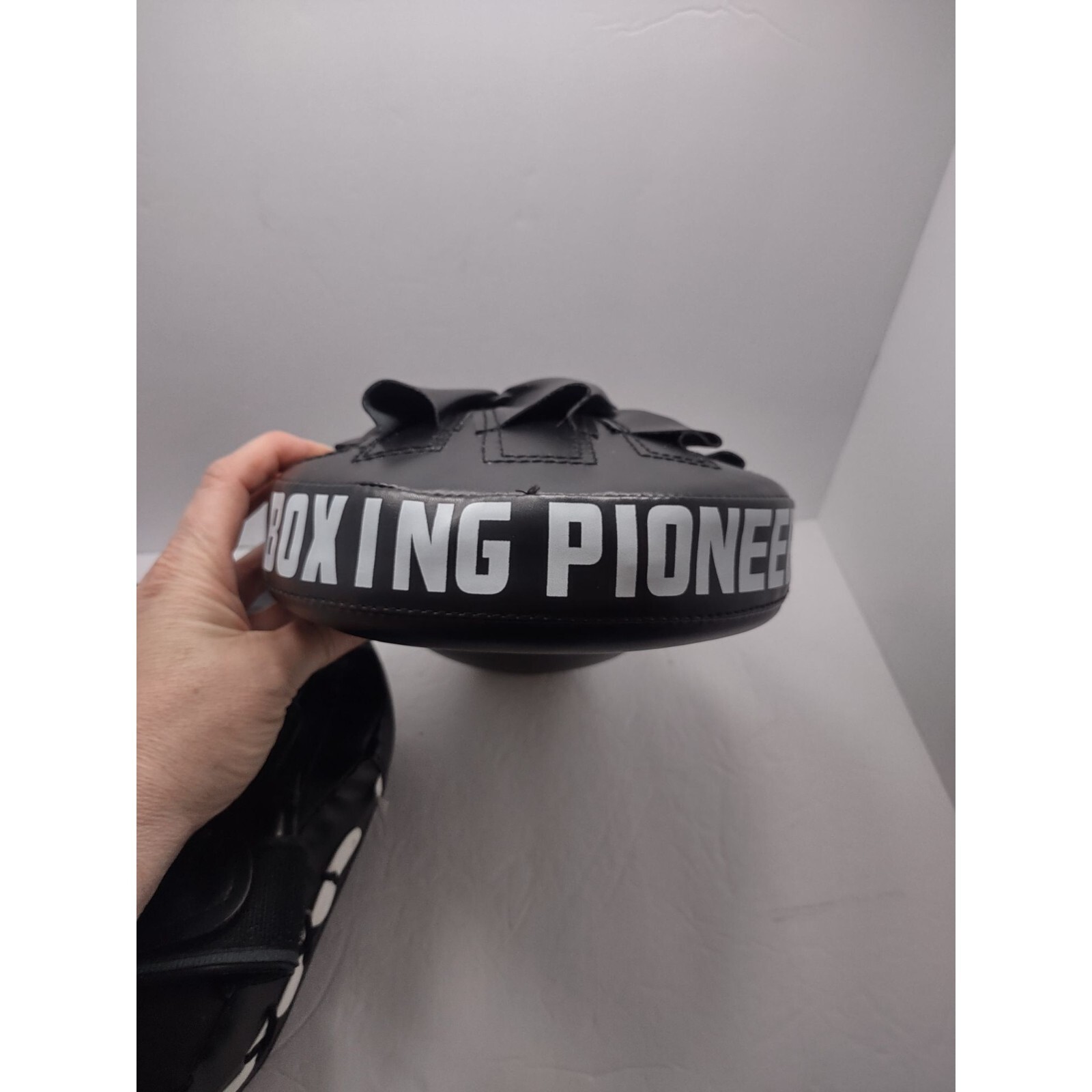 Lunz kickboxing mitts 16oz