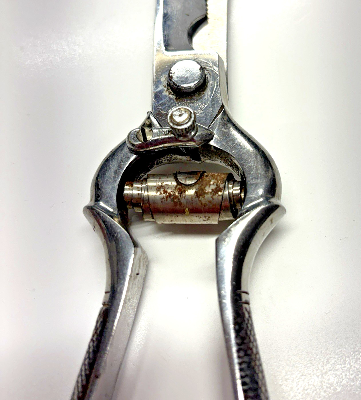 VTG Poultry Shears Stainless Maker Recosa Solingen 9.5"L Sharp-Well Used-Locking