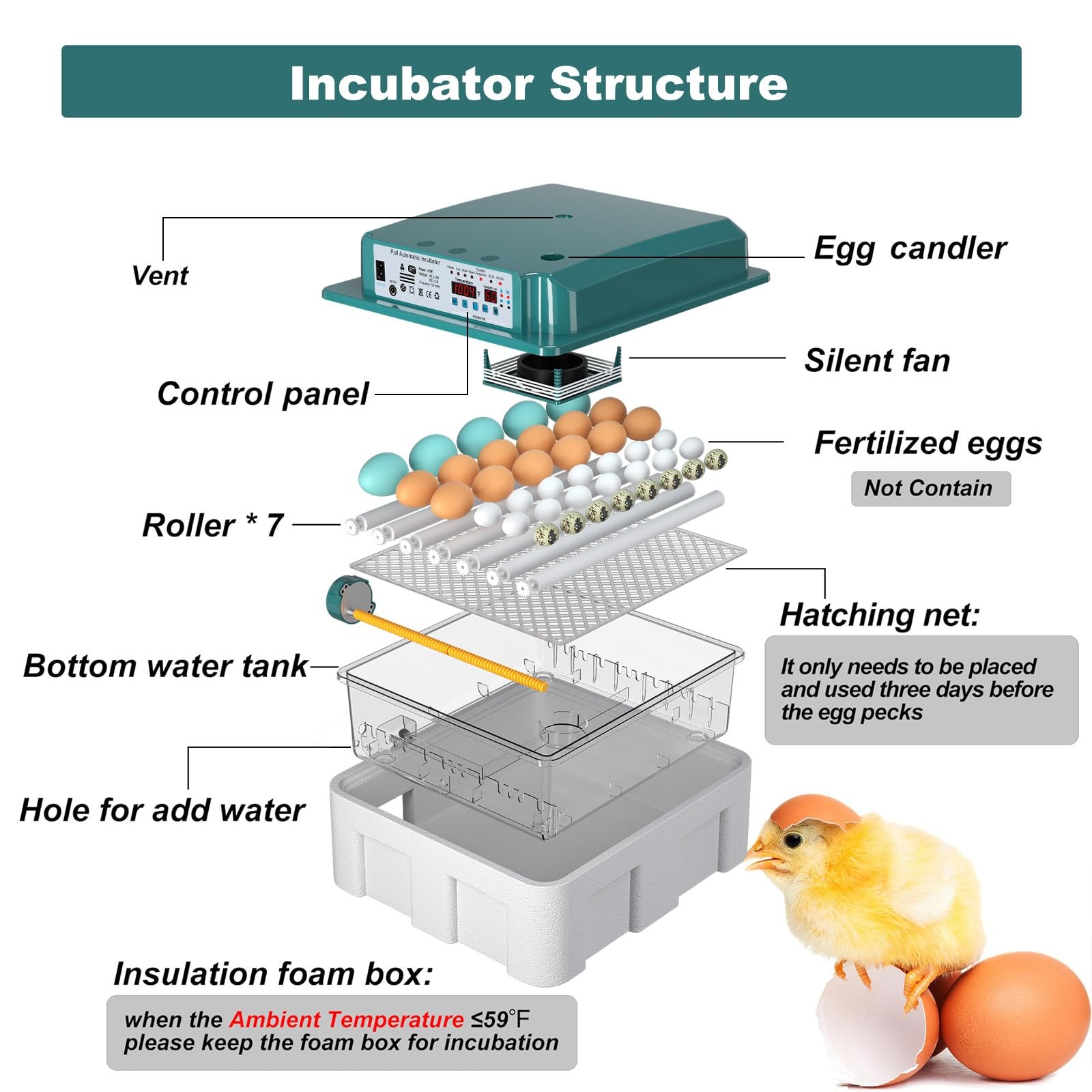 Coinceptus Incubators Hatching 36 Eggs Automatic Egg Turning And Humidity