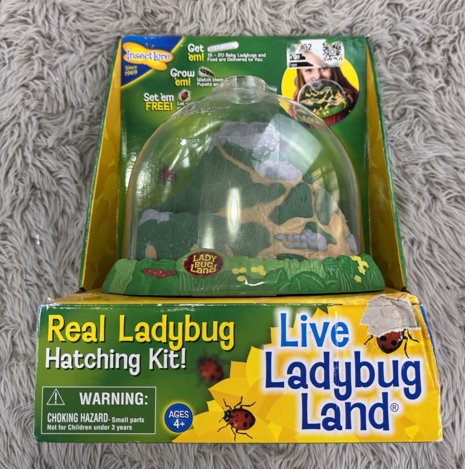 Insect Lore Live Ladybug Land Hatching Kit!
