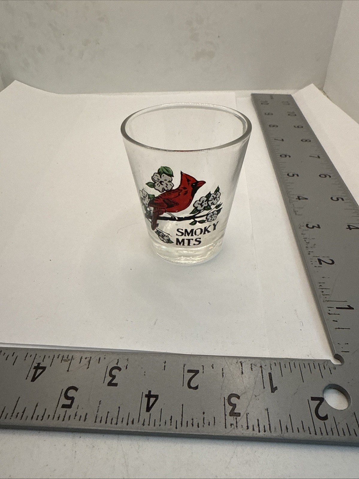 Smoky Mountains CardinalShot Glass shotglass 58B-1191J
