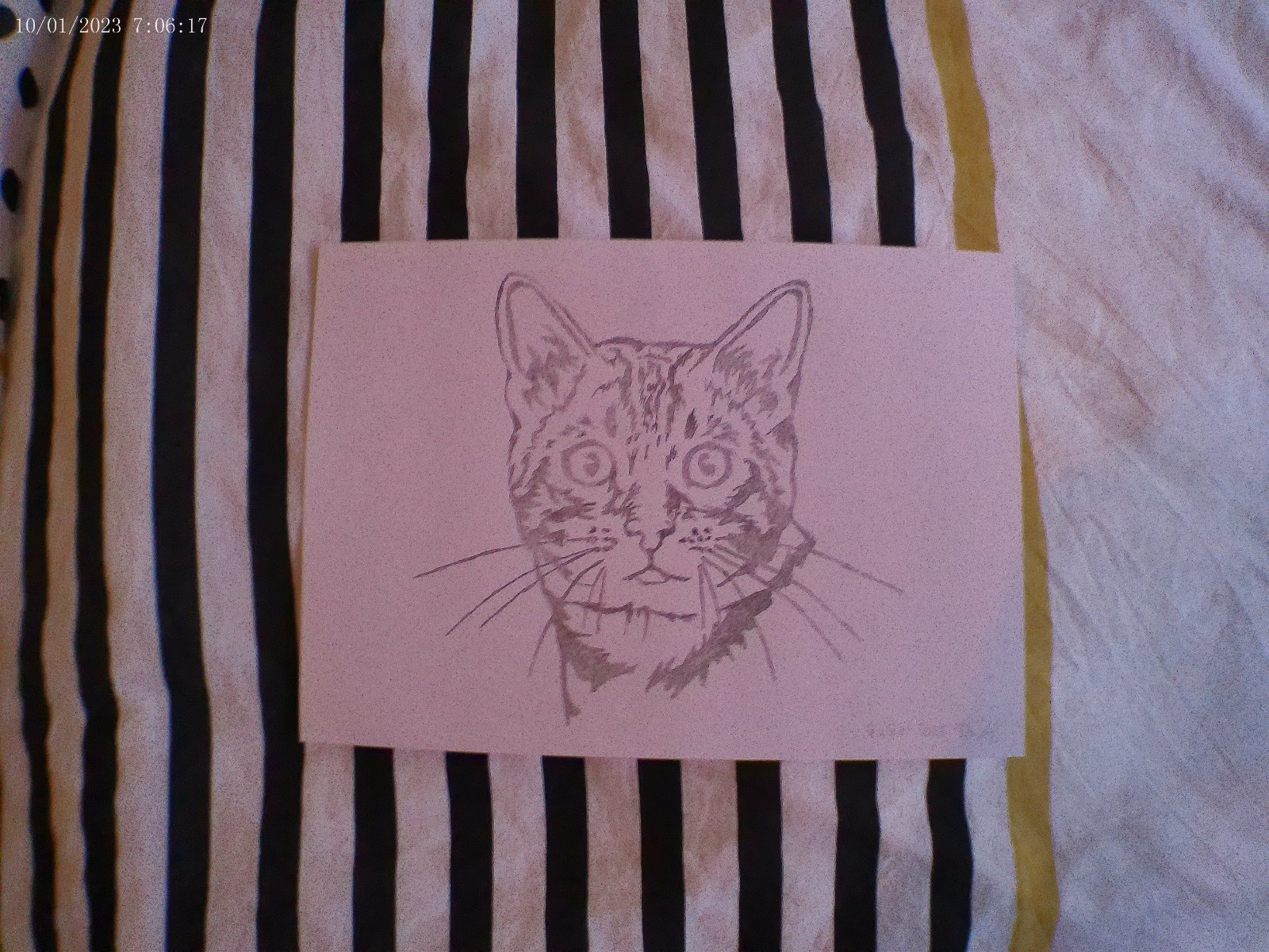Cat pencil drawing, unique