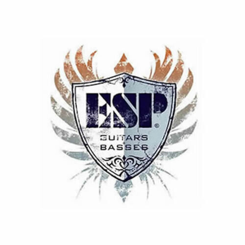 ESP TKL Premium Guitar Gig Bag Black - Brand New - Half price with guitar