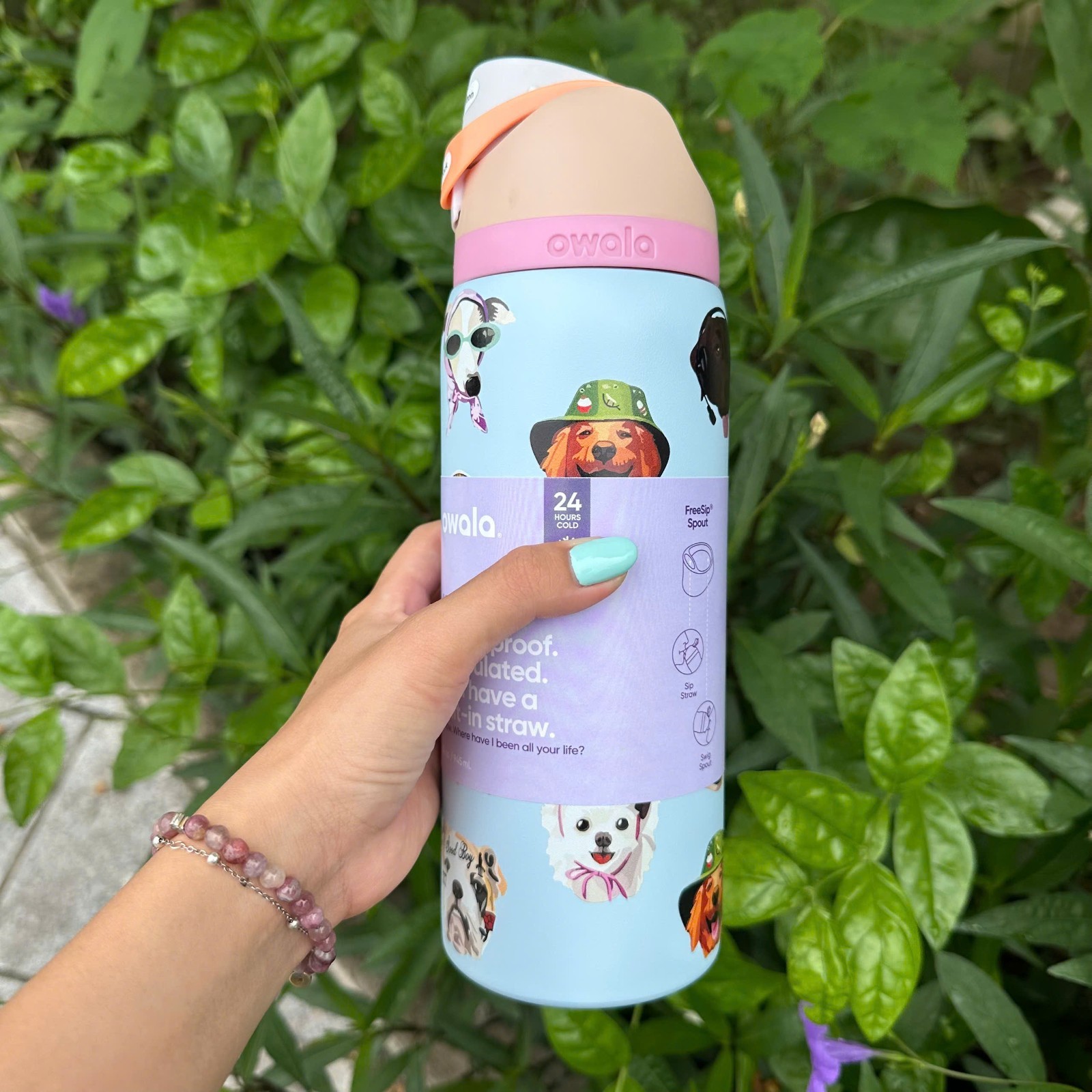Owala Water Bottle 32oz – Dog Collage Design – Insulated Leakproof Straw Bottle