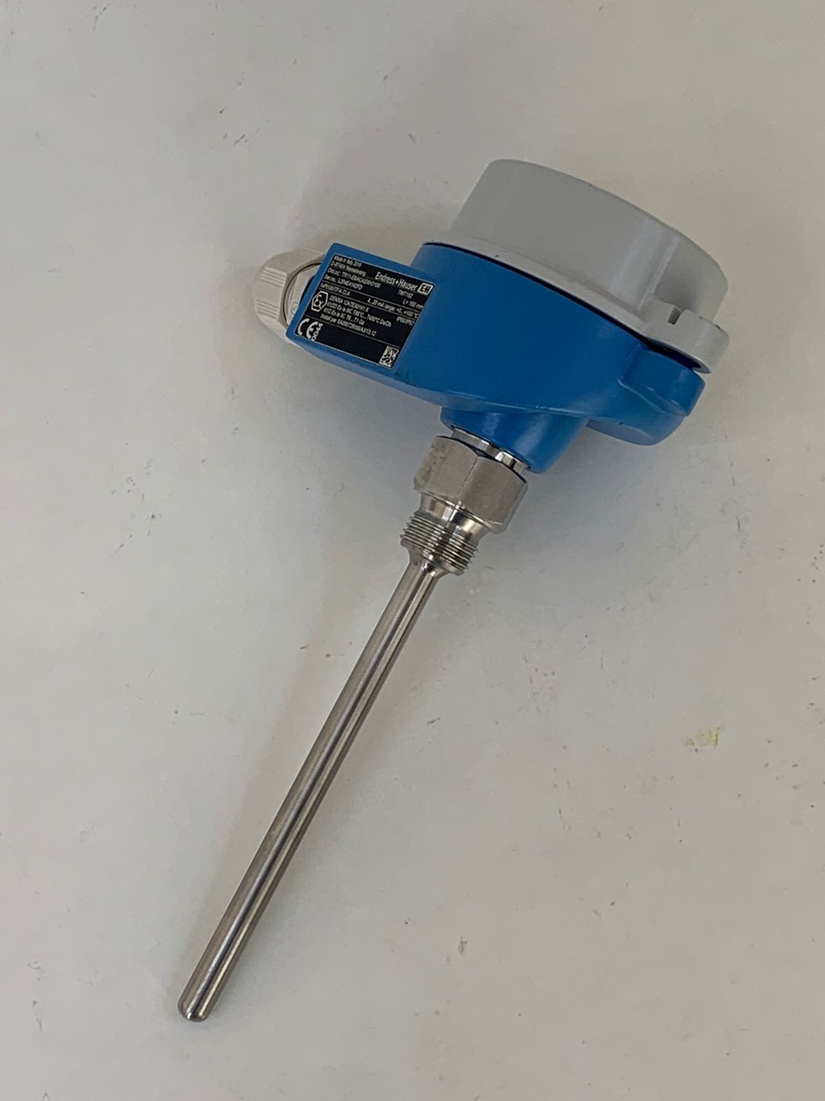 Endress+Hauser / RTD Thermometer / TR11-EBACASXH3100