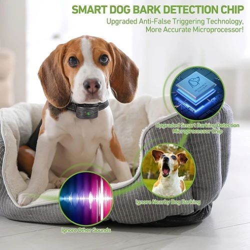 Rechargeable Dog Bark Collar 2 Pack No Shock Waterproof Training Collar
