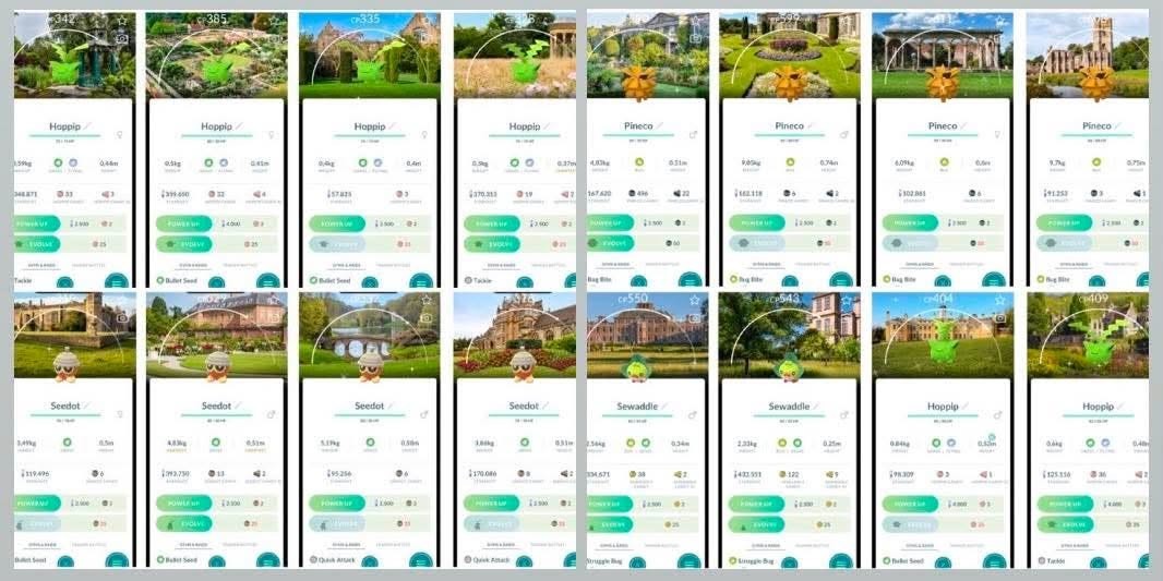 Pokémon Go - Shiny Hoppip/ Sewaddle/ Pineco/ Seedot Background National Trust