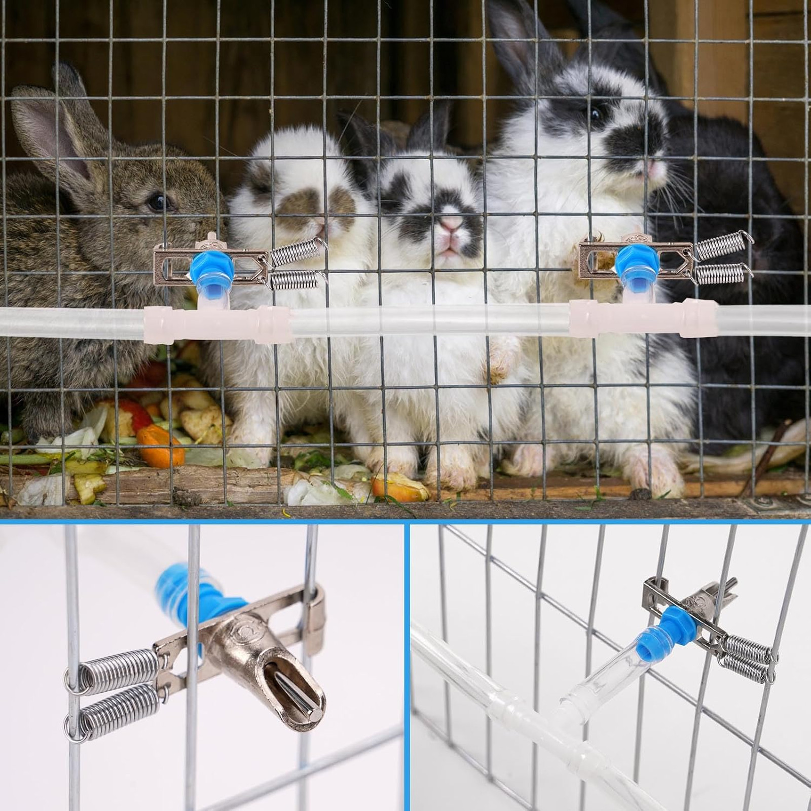 Automatic Rabbit Watering System, Gravity Fed Rabbit Waterer Kit | Rabbit Water