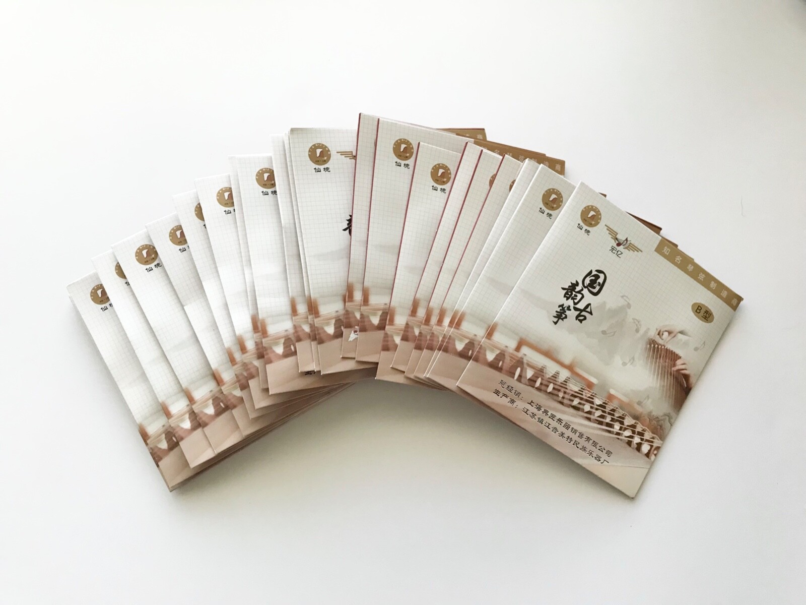Xianjing Type B Guzheng String