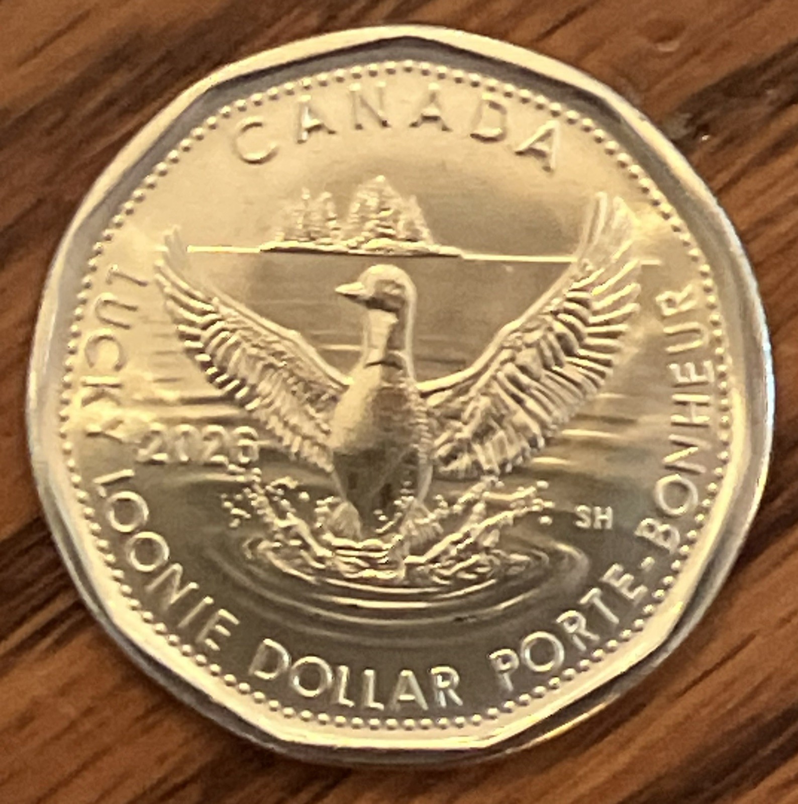 SHIPS TODAY! 2026 Canada LUCKY LOONIE $1 dollar coin **75% off comb. shipping**