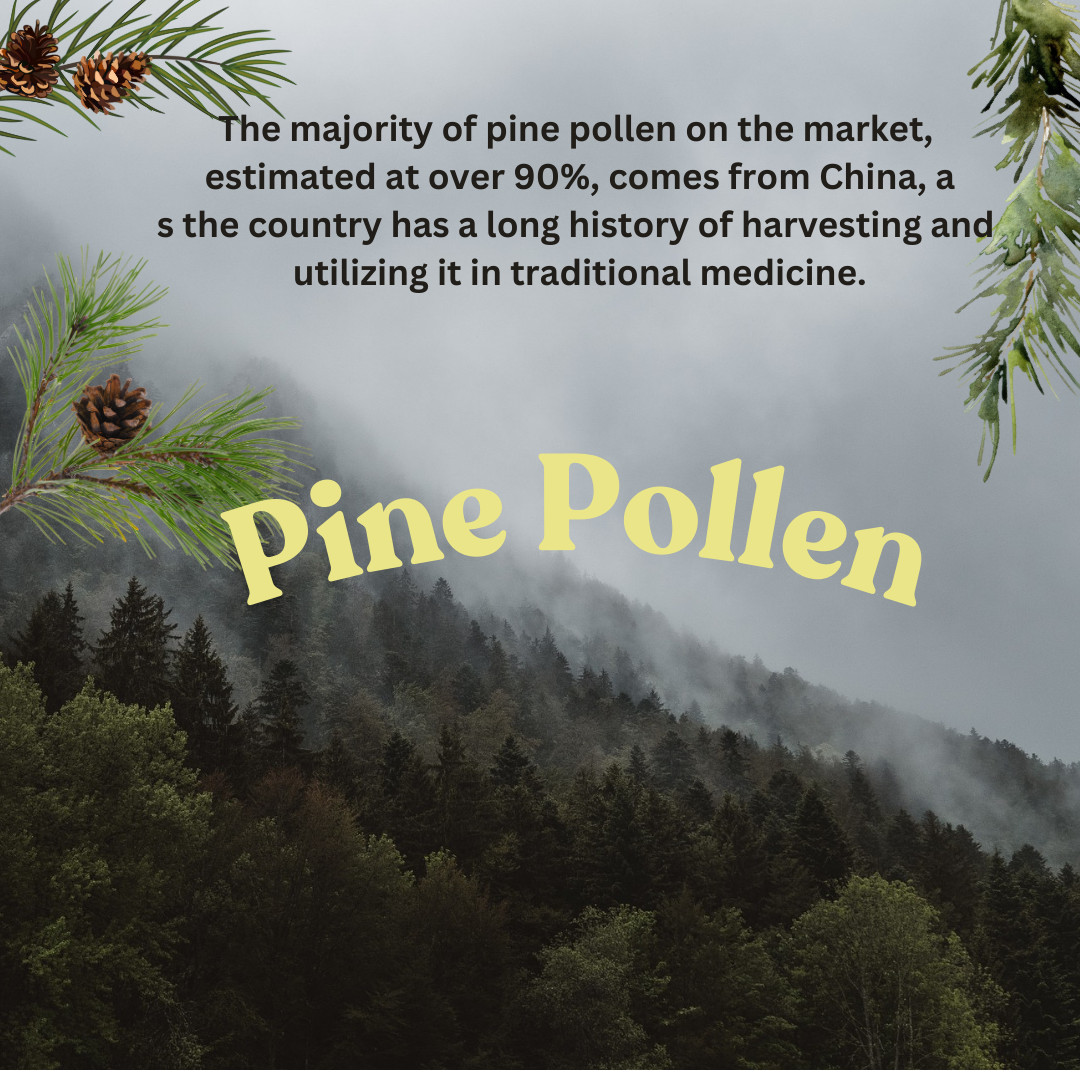 Organic Pine Pollen 500mg - Testosterone & Vitality Support - 100 Caps
