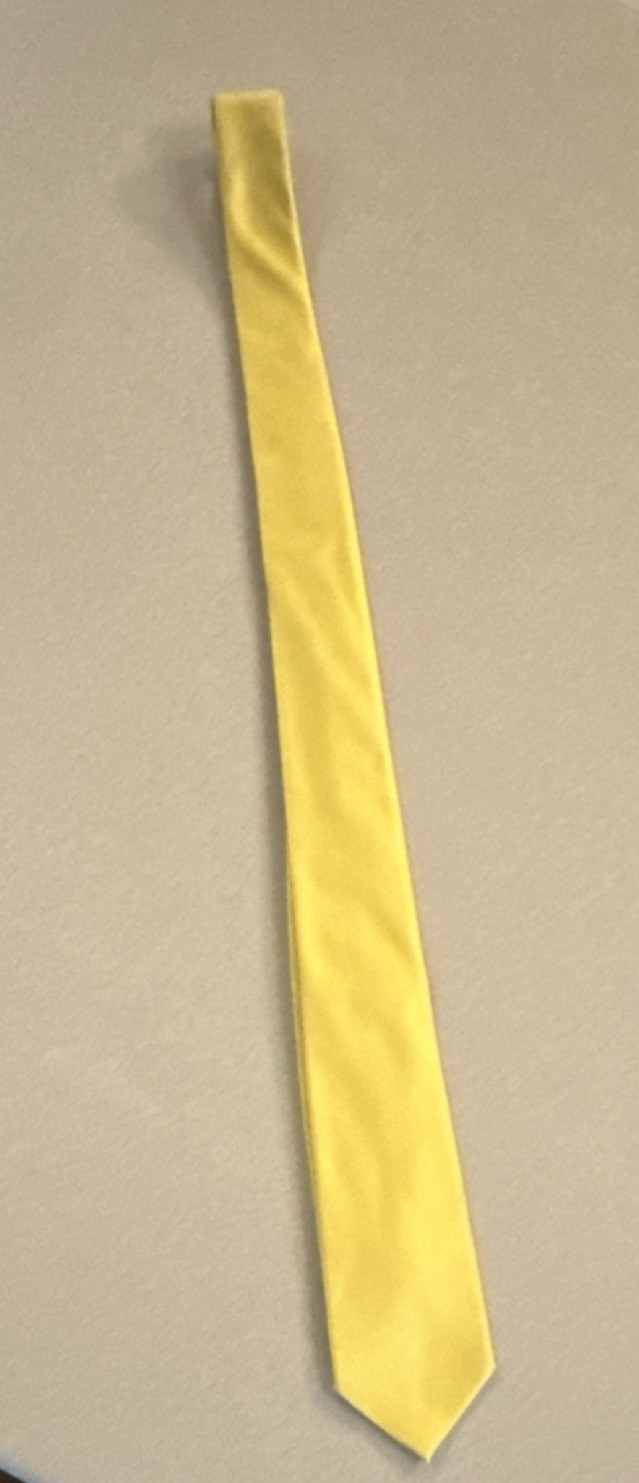 Express Design Studio Yellow Solid Men's Tie