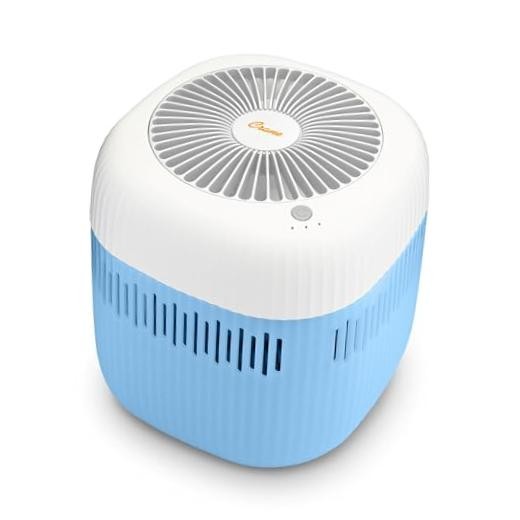 Evaporative Humidifier, Wick Filter, Dishwasher Safe Tank, UV Light, No White