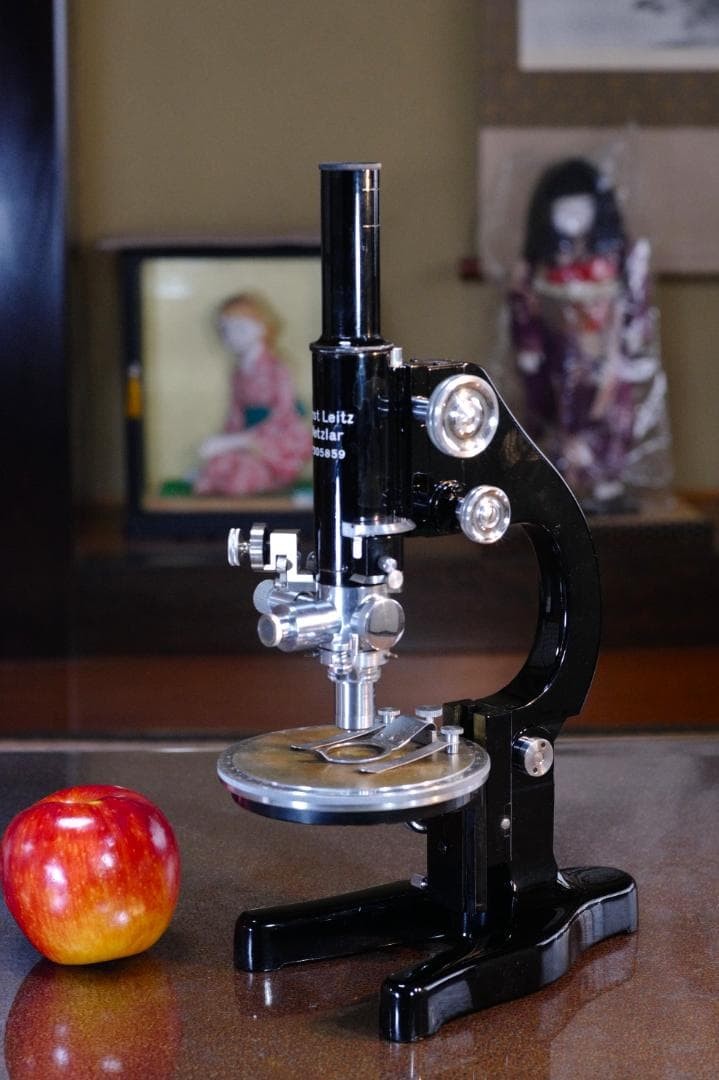 microscope antique collectible Ernst Leitz's "MOP" Polarizing Microscope