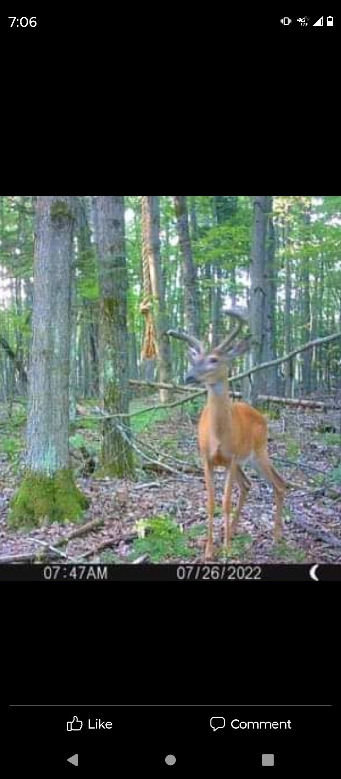 deer attractant Rope Kit! Free Shipping!